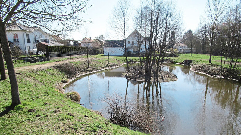 Der Teich in der "Kleinfeld"-Siedlung ist vom wilden Baumwuchs an den Uferrändern teils befreit worden.