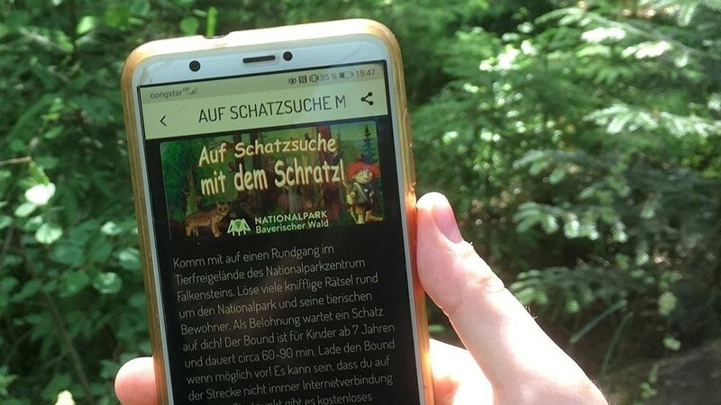 Digital können Kinder jetzt im Tier-Freigelände Falkenstein nun "Auf Schatzsuche mit dem Schratzl" gehen. Foto: Paula Feuchtmeyer/Nationalpark