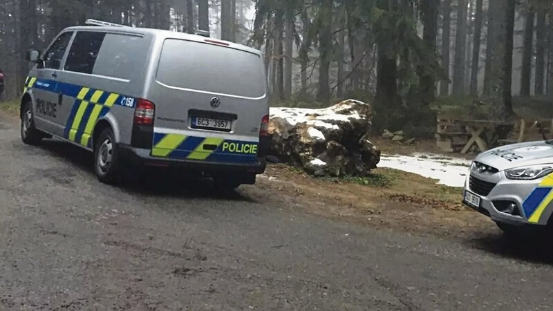 In einem Wald im tschechischen Grenzgebiet war die Leiche des Ermordeten gefunden worden.