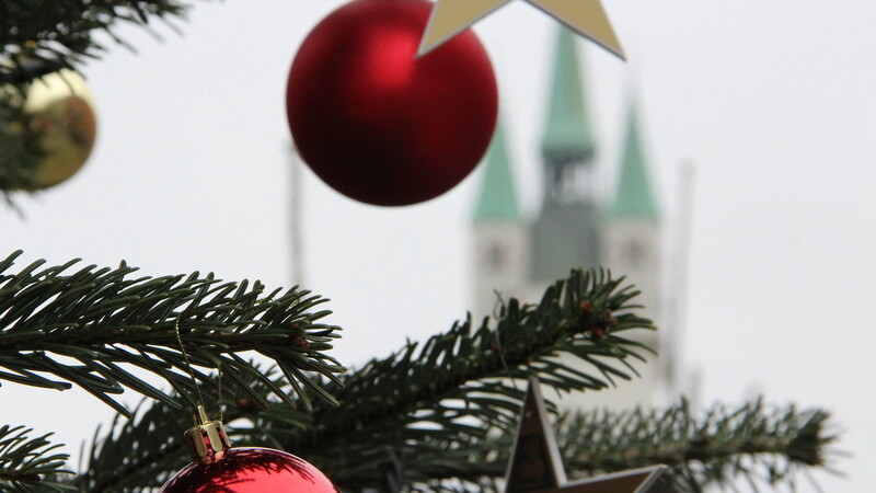 Die Bäume wurden von den Unternehmen geschmückt und stehen voraussichtlich bis 27. Dezember auf dem Theresienplatz.