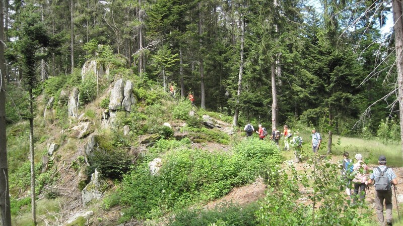 Ideales Wanderwetter verhalf der Wald-Vereinssektion Lohberg zu einer wohltuenden Tour.