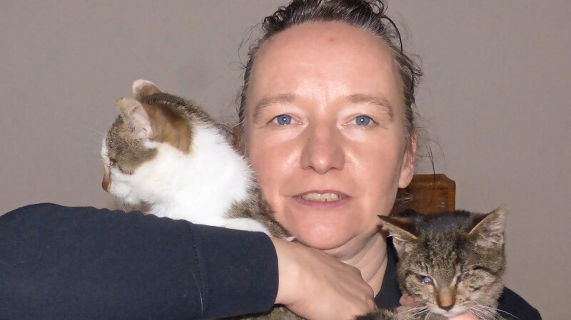 Auch diese beiden Kätzchen werden von Katrin Kovanah in der Pflegestelle liebevoll versorgt.