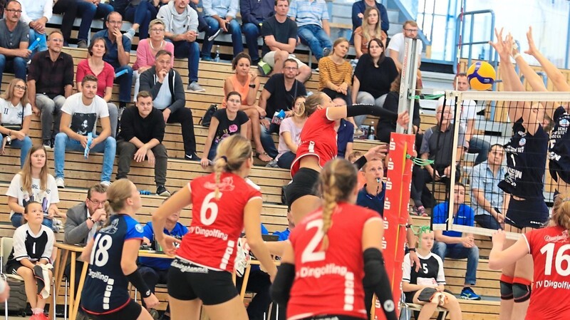 Die Volleyballdamen des TV Dingolfing treten wollen als Außenseiter gegen den Erstligisten Vilsbiburg überraschen.