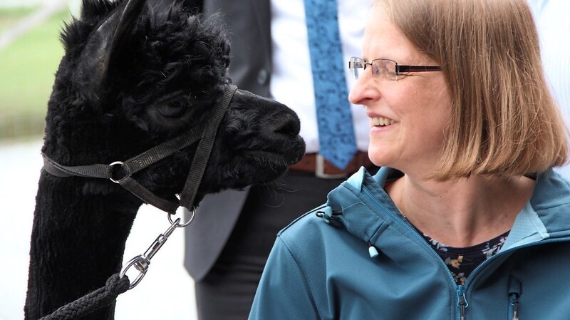 Gänzlichst dem Charme der Alpakas erlegen ist Behindertenbeauftragte Rosemarie Kagerbauer.