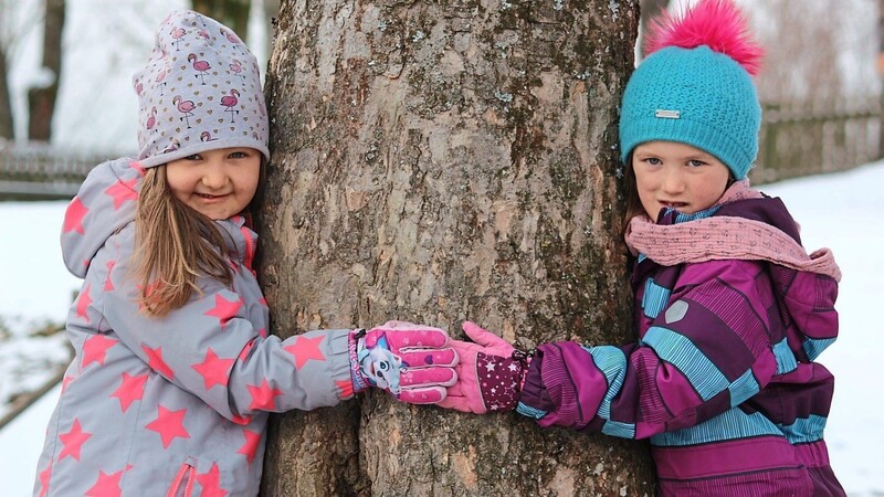 Mit zahlreichen Aktionen rund um den Wald und den Rohstoff Holz nimmt das Kinderhaus auch am Projekt "Öko Kids" von LBV und Umweltministerium teil. Neben der Funktion als Lieferant nachwachsender Rohstoffe hat der Wald noch ganz viele weitere positive Aspekte.