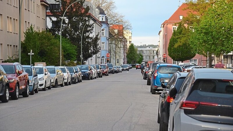 Für die Ludmillastraße möchte die Verwaltung dem Stadtrat mobiles Grün vorschlagen - erst einmal testweise.