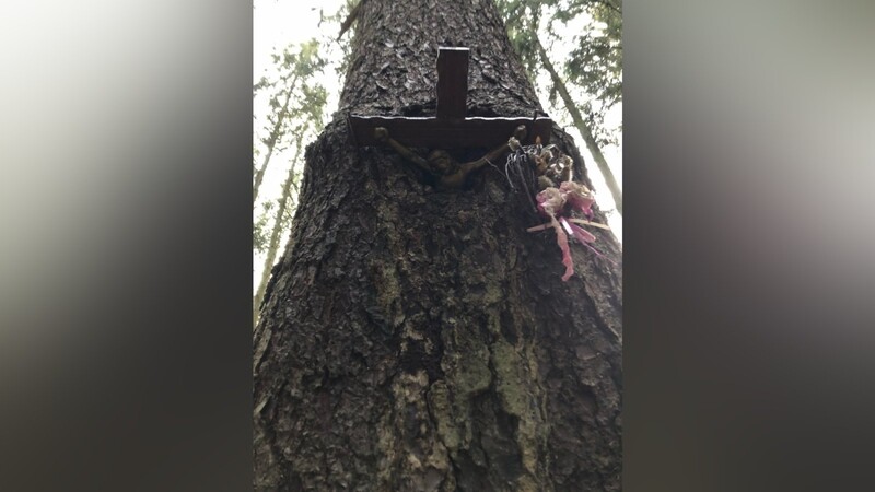 Natur und Glaube "vereint": Das Kreuz aus der Nachkriegszeit ist über die Jahrzehnte langsam in den Baum eingewachsen.