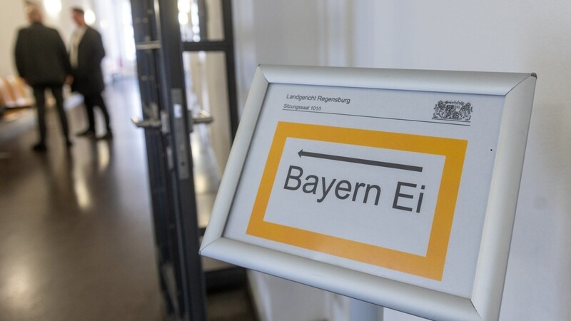 Die Überwachung großer Lebensmittelproduzenten sollte nach dem Bayern-Ei-Skandal mit einer neuen Behörde verbessert werden.