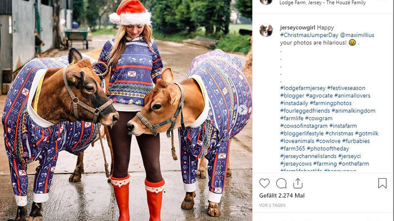 Betty Houzé und zwei ihrer Kühe in ihrem Weihnachtsoutfit.