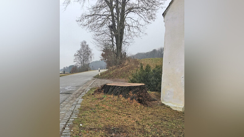Die Abholzungen bei der Grundschule Elsendorf und im Bereich Hartlmühle.