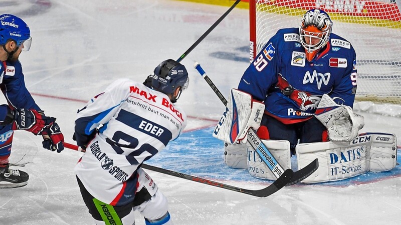 Chancen hatten die Straubing Tigers am Samstag in Mannheim genügend. Entweder wurden die allerdings teils etwas leichtfertig vergeben oder - wie in diesem Fall des freistehenden Andreas Eder - durch den glänzend aufgelegten Adler-Goalie Felix Brückmann vereitelt. So stand am Ende ein bitteres 0:3.  Foto: Michal Ruffler / PIX-Sportfotos