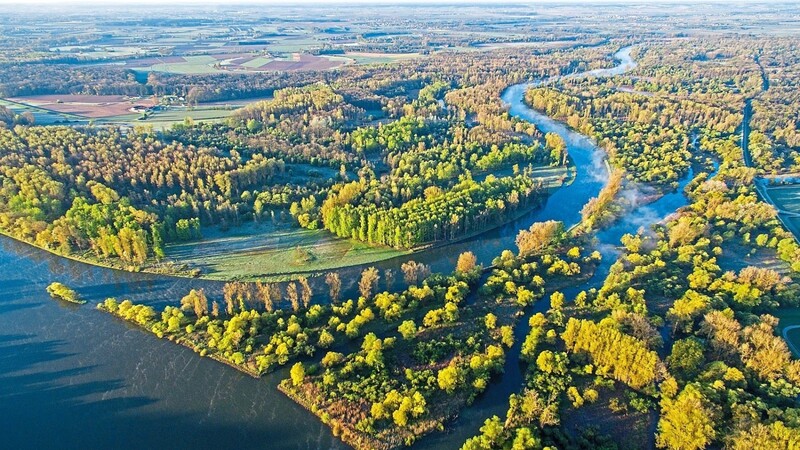 Wo die Isar auf die sich in großen Schlingen dahin windende Donau trifft, gestalten beide Flüsse vielfältige und sehr unterschiedliche Auenlebensräume.