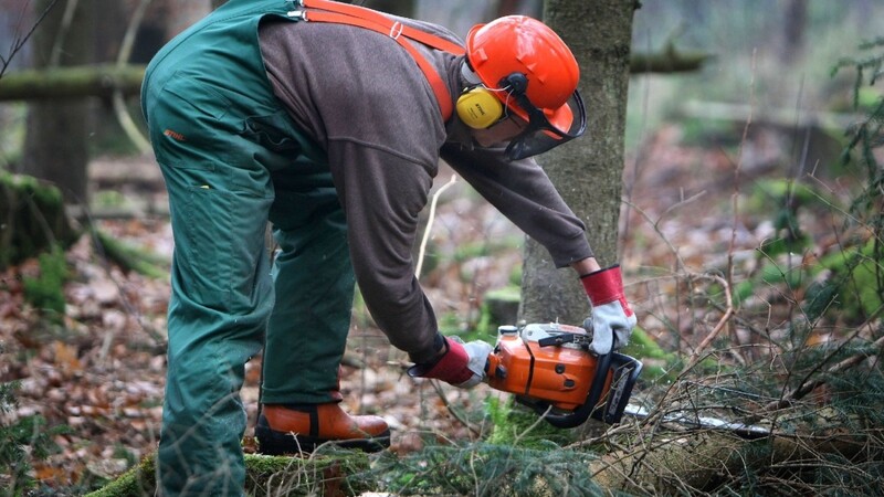 In Hinterherberg ist am Donnerstagabend ein 48-jähriger Mann bei Waldarbeiten ums Leben gekommen (Symbolbild).