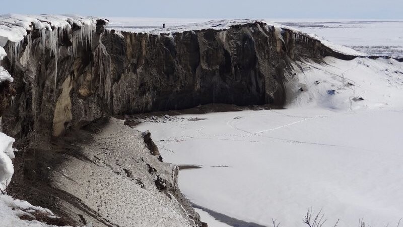 Blick am 10.05.2012 auf die 35 Meter hohe und 680 Meter lange Steilwand am Itkillit River im Norden Alaskas. Zu erkennen ist das Nebeneinander von bis zu 40 Meter langen Eiskeilen (grau) und Sedimentsäulen (bräunlich).
