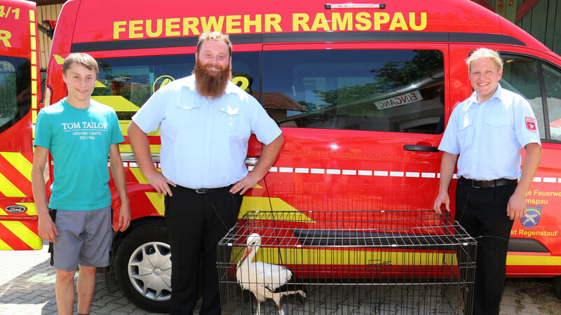 Die Ramspauer Feuerwehrkameraden (von rechts) Lukas Rausch, Christoph Weiß und Florian Hasenöhrl brachten dankenswerterweise den verletzten Storch zur Vogelauffangstation.