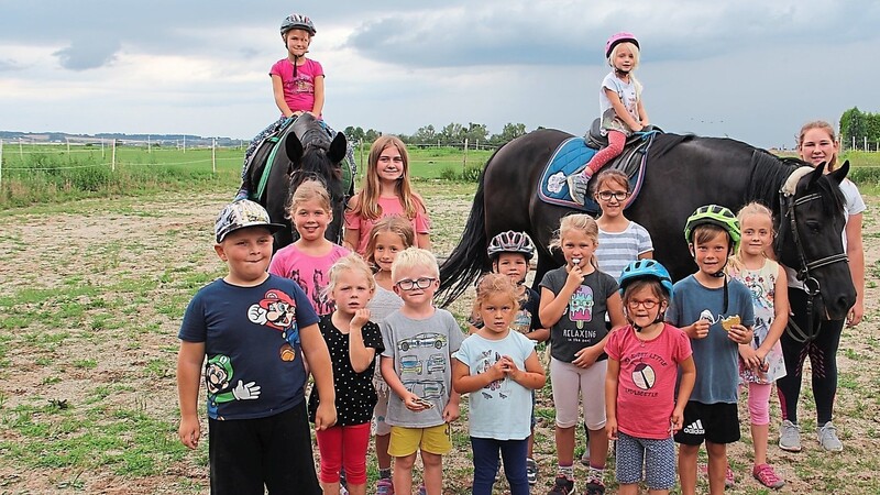 Die Ferienkinder haben von den Pferden viel gelernt.