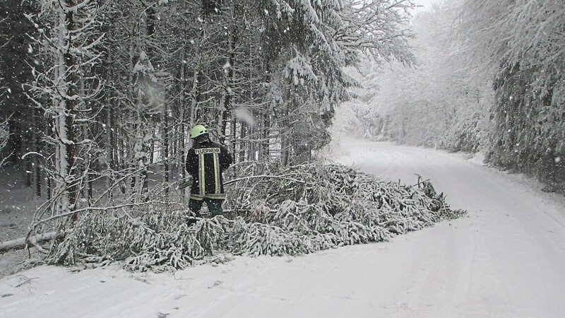 Schwerer Neuschnee ließ Bäume umstürzen und äste abbrechen.