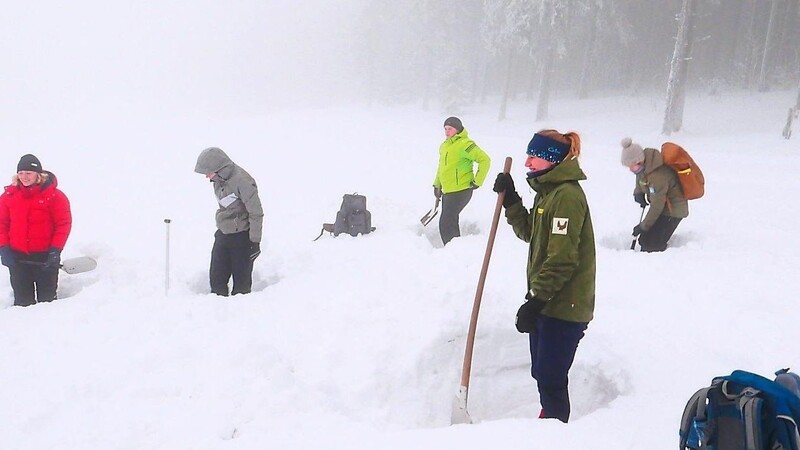 Bei der Exkursion auf der Scheiben erfuhren Teilnehmer mehr zum Thema Schnee.