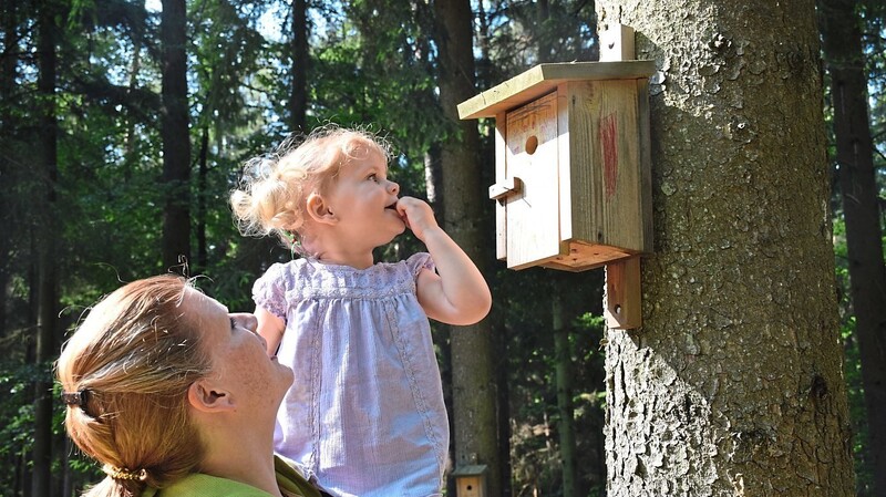 Da Naturerfahrungen für die Entwicklung von Kindern sehr wichtig sind, werden Waldkindergärten auch von den Bayerischen Staatsforsten sehr unterstützt. 1.500 solcher Waldkindergärten gibt es in Deutschland bislang.