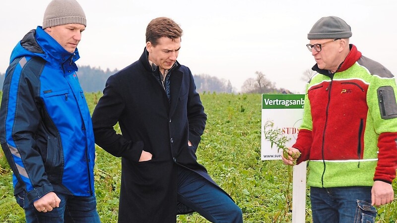 Hybrid-Landwirt Thomas Koller (r.), Zertifizierer Bogdan Dreihaupt (Mitte) und Robert Ingerl von der Südstärke GmbH begutachten den Kartoffelanbau.