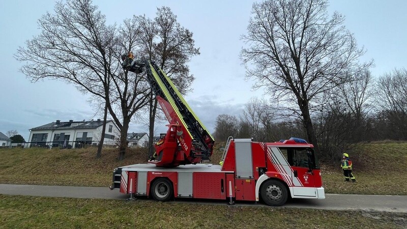 Die Feuerwehr Landshut musste am Montag gleich zwei Katzen retten.