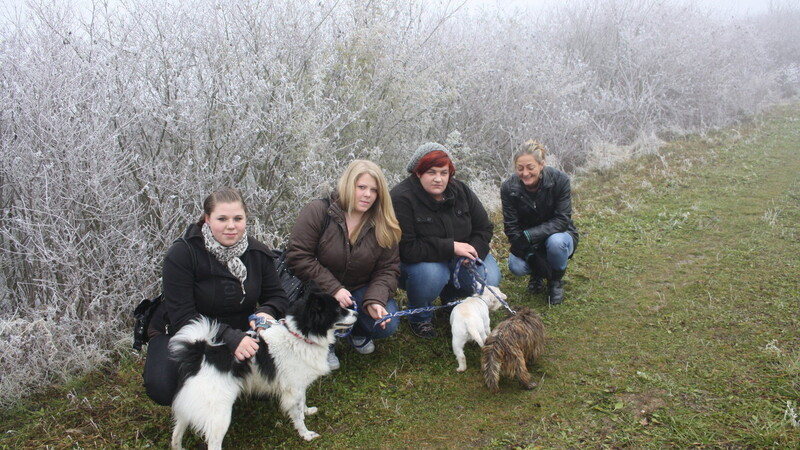 Sandra, Ramona, Sabrina und AWO-Mitarbeiterin Katrin Konrad (v.l.) mit den Tierheimhunden Boomer, Henry und Alfons.