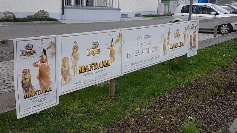 Nicht zu übersehen ist die Plakatierung, mit der der Circus Krone für sein Gastspiel in Landshut wirbt.