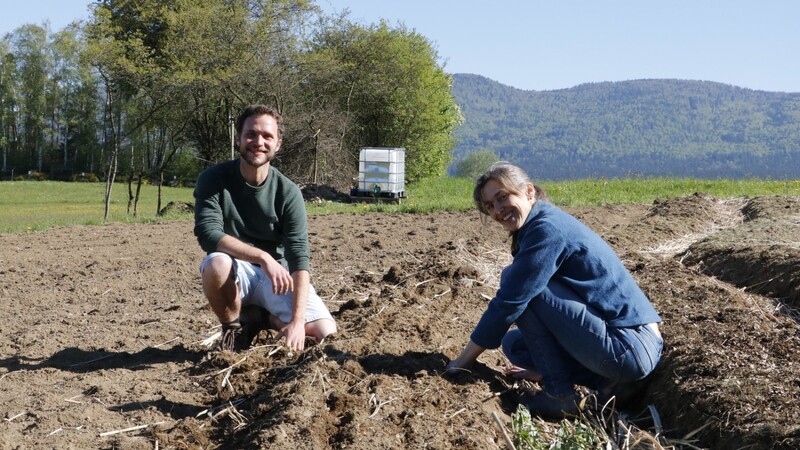 Säen, mulchen, gießen: Gärtner Johannes Zeitzler und Initiatorin Eva Rautenberg werkeln schon fleißig am Acker.