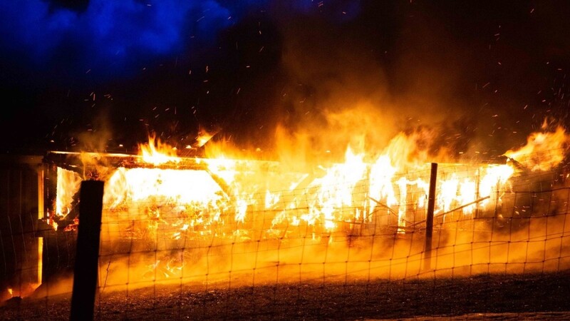 Feueralarm am frühen Freitagmorgen in Johannesbrunn (Kreis Landshut). Meterhohe Flammen schossen aus einem Holzschuppen.