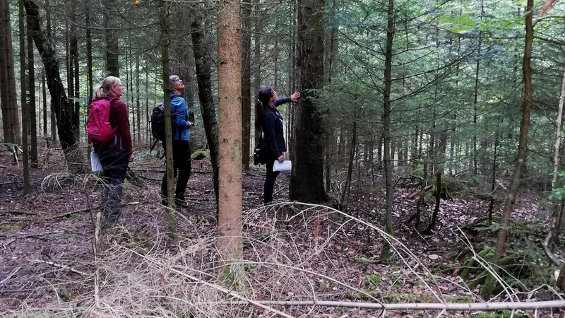 Die Teilnehmer bekamen nicht nur theoretisches Wissen, im praktischen Teil konnten sie im Wald über den Wald lernen.