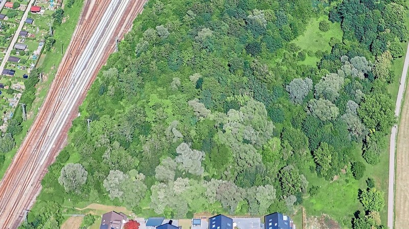 Das Grundstück am Bahnhofswald (am rechten unteren Waldrand) soll von der Unterschutzstellung ausgenommen werden. Damit kann es Bauland werden.