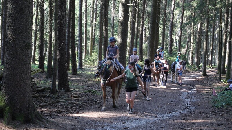 Bei der Hitze eine Wohltat für Reiter und Pferde: ein Ausritt im Wald.