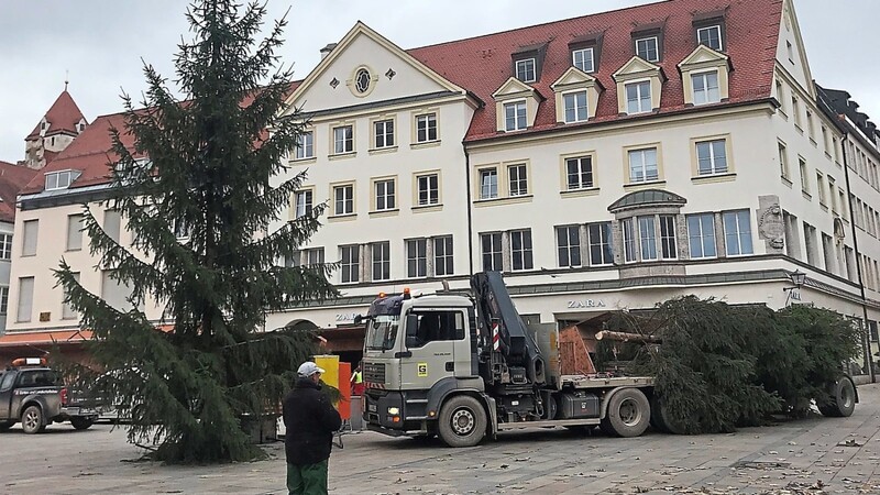 Mit schwerem Gerät wurden am Donnerstag die ersten Christbäume an den Neupfarrplatz geliefert und aufgestellt. Auch mit dem Aufbau der Buden begannen die Arbeiter.