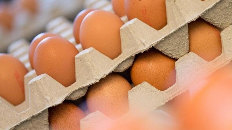 Bestimmte Eier-Produkte werden zurückgerufen. (Symbolbild)