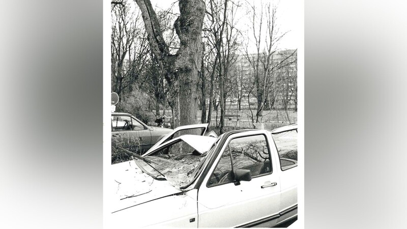 Auch auf drei Autos in der Dammstraße stürzten Bäume und beschädigten sie schwer.
