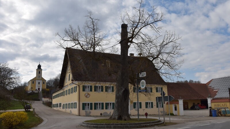 Ihre weit ausladende Krone hat die altersschwache Dorflinde vor dem Gasthaus Plank am Fuße der Pfarrkirche "Mariä Lichtmeß" schon vor einigen Jahren verloren. Jetzt fällt auch bald der verbliebene Stumpf.