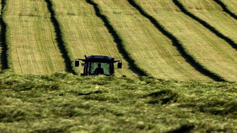 Mehr als drei Jahre wurde verhandelt, am Dienstag stimmen die Europaabgeordneten final über die Reform der EU-Agrarförderpolitik ab.