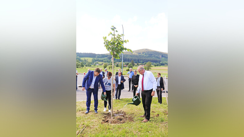 Mit einer gemeinsamen Gießaktion legten die drei Politiker den Grundstein dafür, dass der frisch gepflanzte Freundschaftsbaum am Grenzübergang Höll-Lísková wächst und gedeiht.