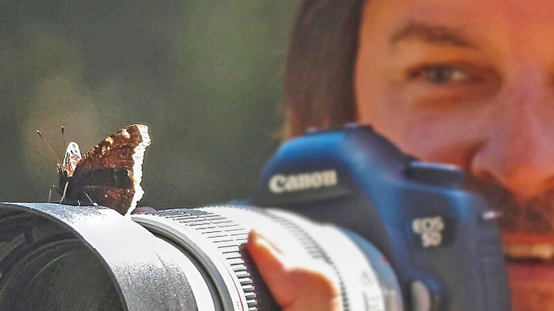 Mit einem großen Teleobjektiv kommt Naturfotograf Ralph Sturm den Schmetterlingen nahe - manchmal auch andersherum. Ein Trauermantel hat sich hier auf seiner Kamera niedergelassen.