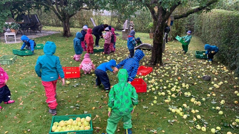 Eifrig sammeln die kleinen Erntehelfer die vielen Äpfel auf und stapeln sie in Obstkisten.