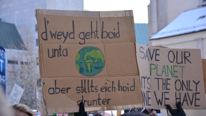 Die Klimaschutz-Bewegung "Fridays for Future" polarisiert Schüler überall auf der Welt.