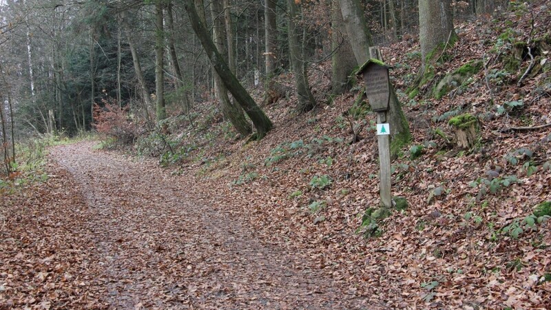 Der Waldlehrpfad am Ludwigsberg wird instandgesetzt. Das beschloss der Stadtrat in seiner nichtöffentlichen Sitzung am Dienstagabend.