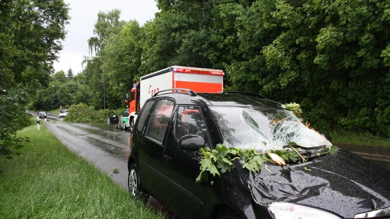 Ein Baum stürzte während eines Unwetters am Mittwoch auf ein fahrendes Auto. Rund 8.000 Euro Schaden sind am Skoda entstanden, die Fahrerin kam ins Krankenhaus.