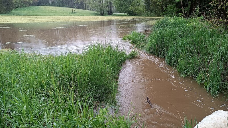 Feldbäche gehen schon über die Ufer und überschwemmen Wiesen.