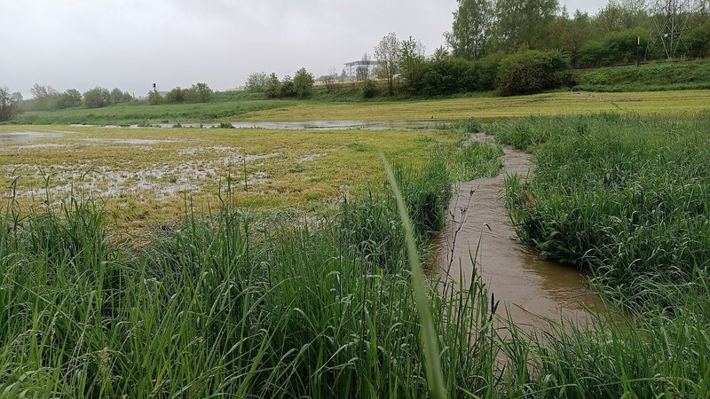 Feldbäche gehen schon über die Ufer und überschwemmen Wiesen.