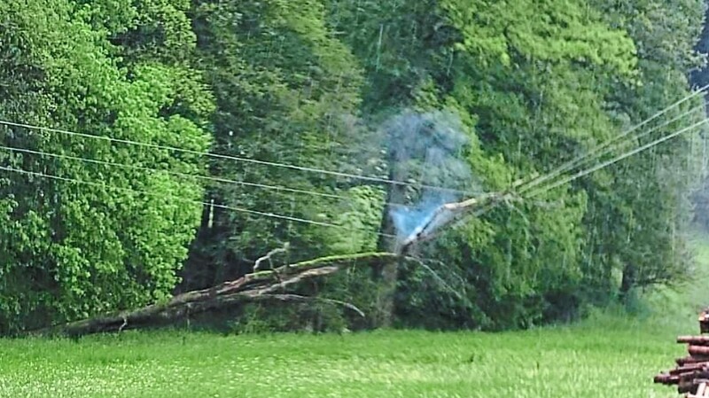Zunächst geriet ein morscher Baum auf der Stromleitung in Brand.