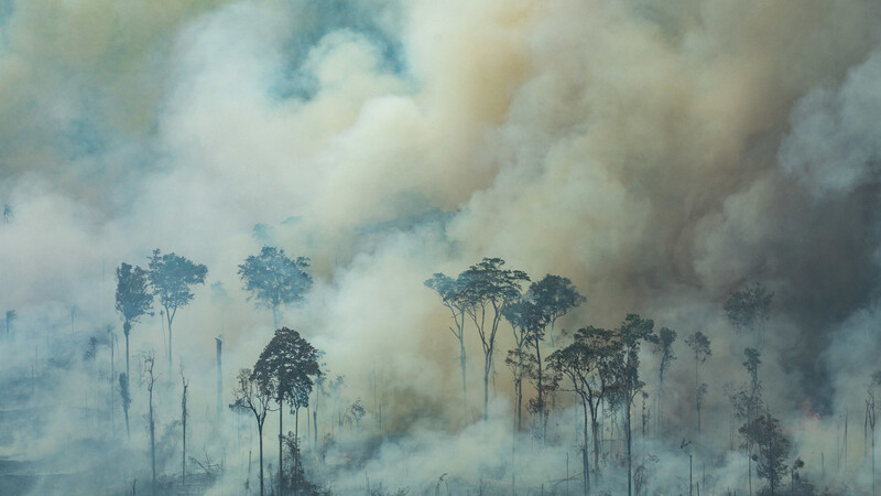 In Brasilien brennen nach wie vor die Wälder.