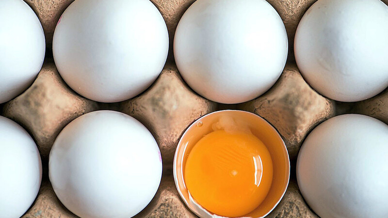 In Eiern der Firma Sonnendorfer wurden Salmonellen festgestellt. (Symbolbild)