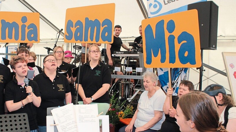 "Mia sama mia" singen die Handicap-Stars der Zweigwerkstätte in Bad Kötzting. Egal ob dick, dünn, Jung oder Alt - die Gruppe hält zusammen.