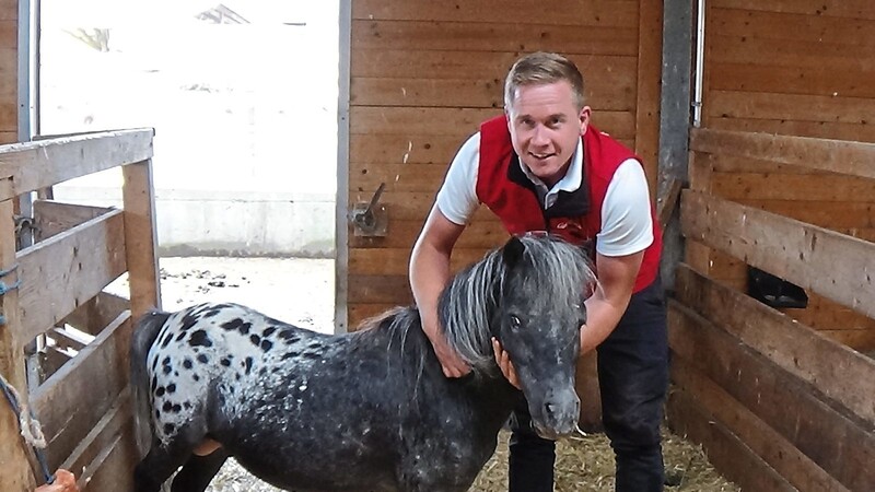 Gutleiter Benedikt Gruber mit dem inzwischen kastrierten Ponyhengst Bart. Er ist das kleinste der aus schlechter Haltung geretteten Pferde.